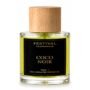 COCO NOIR CHANEL 100% Undiluted Perfume Oil 100ml (Women)